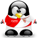 Penguin pingouin pinguino 67